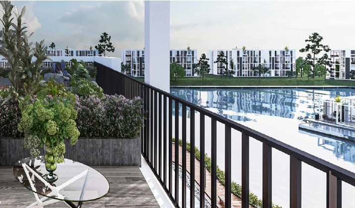 زهرة الساحل الشمالي معمار المرشدي