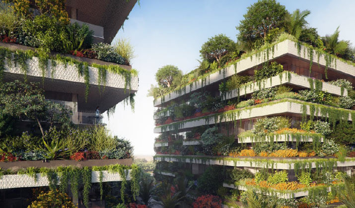 كمبوند البوسكو