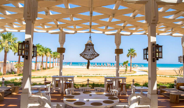 ازها السخنة