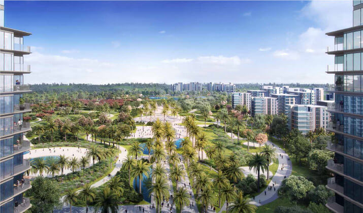 اسعار زيد الشيخ زايد