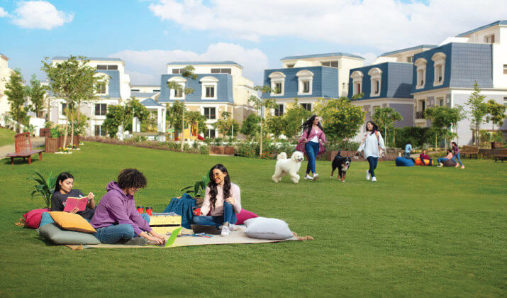 عيوب ماونتن فيو تشيل اوت