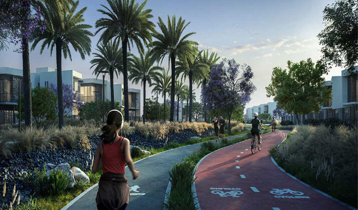 بادية بالم هيلز اكتوبر