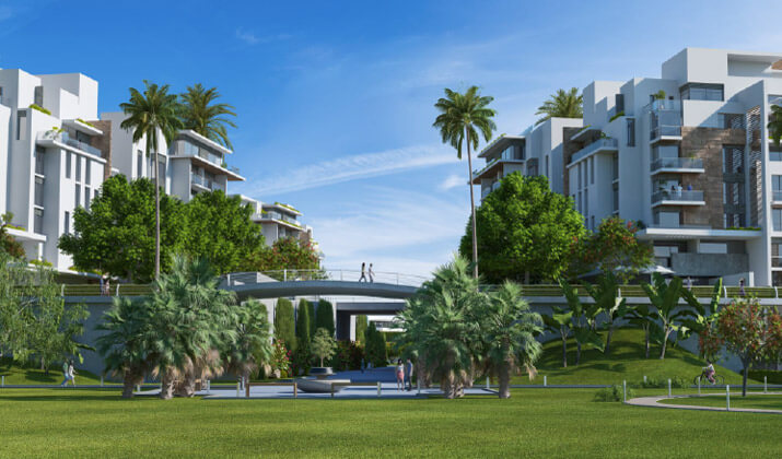 ماونتن فيو اي سيتي اكتوبر