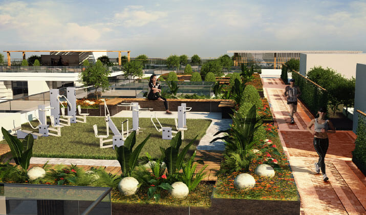 تاج مصر دي جويا 2