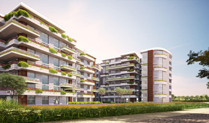 دي جويا 2 تاج مصر