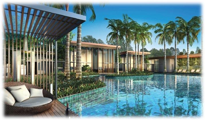 زافاني العاصمة الادارية الجديدة