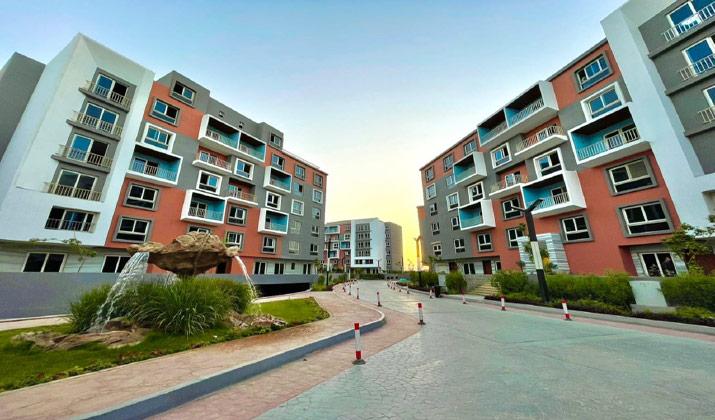 اسعار امورادا التجمع الخامس