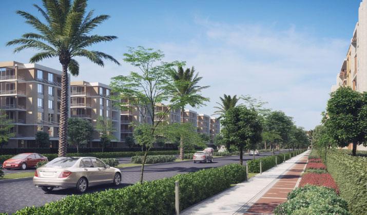 تاج سلطان القاهرة الجديدة