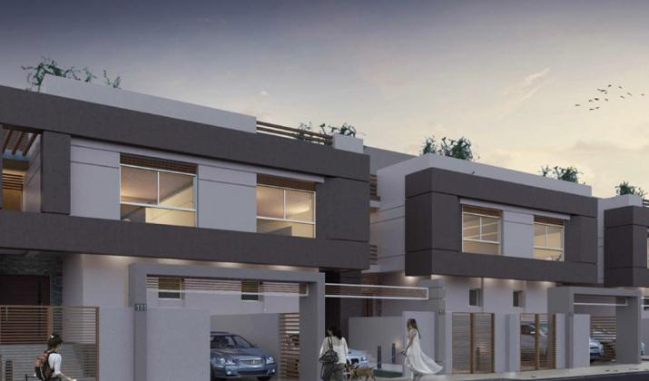 بلو فيرت العاصمة الادارية