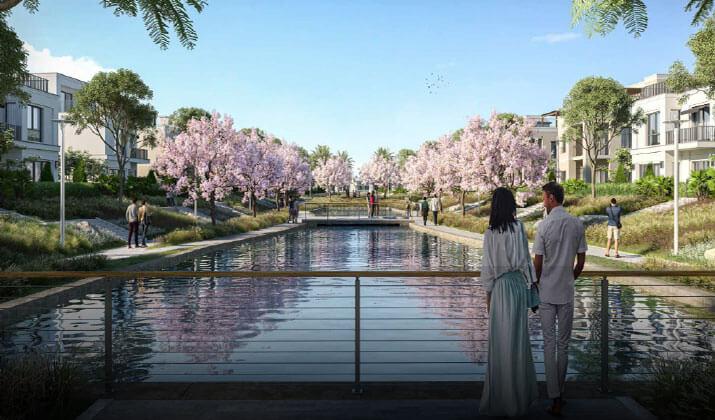 بيل في الشيخ زايد