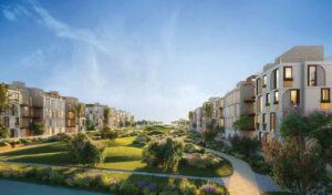 فاي سوديك الشيخ زايد