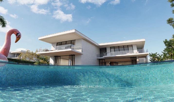 قرية دايركشن وايت