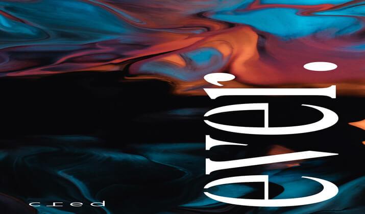 ايفر ويست الشيخ زايد