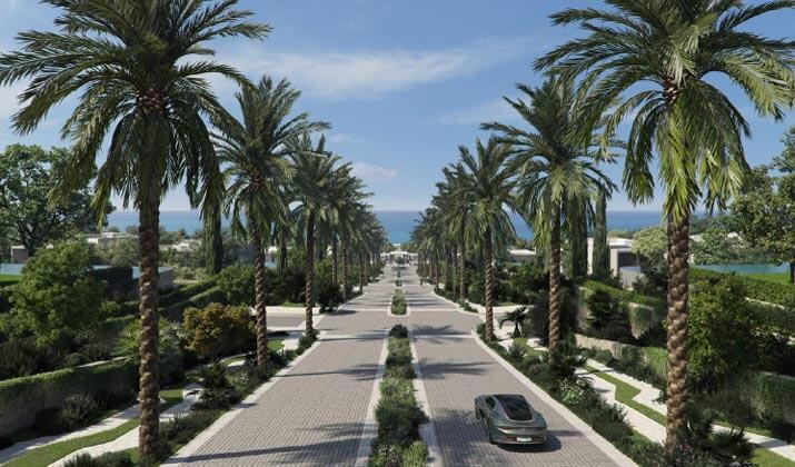 قطامية كوست الساحل