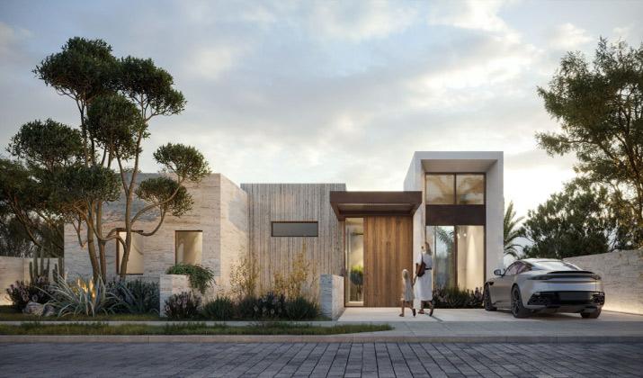 سولانا زايد الجديدة Solana New Zayed