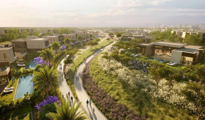 سولانا الشيخ زايد Solana Sheikh Zayed