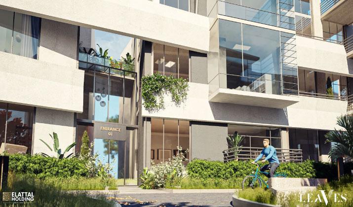 ويست ليفز الشيخ زايد