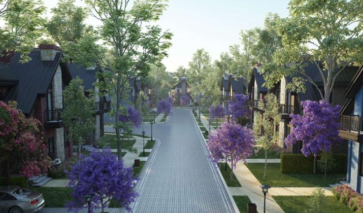 ذا وندر مارك The Wonder MarQ