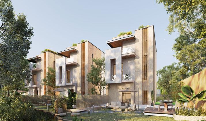 ايفوري الشيخ زايد Ivoire Sheikh Zayed