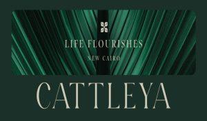 Cattleya New Cairo