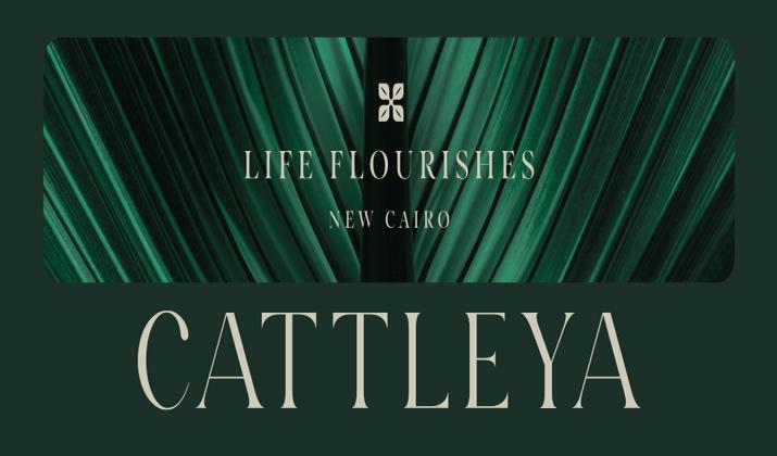 كتاليا القاهرة الجديدة Cattleya New Cairo