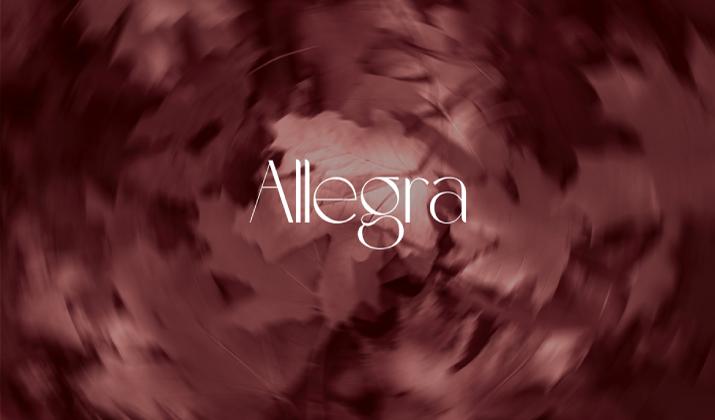 مول اليجرا ماستر جروب العقارية