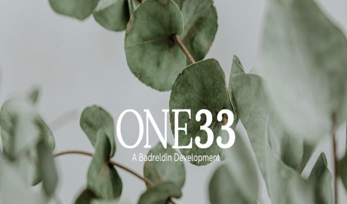 كمبوند وان 33 زايد بدر الدين العقارية