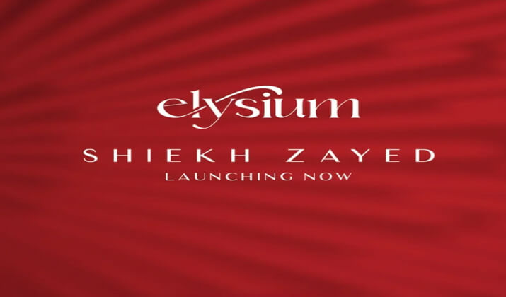 كمبوند اليسيوم الشيخ زايد شركة لاين للتطوير العقاري