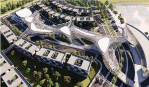 بيينج زايد الجديدة Being New Zayed