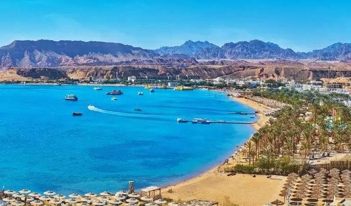 أفضل المشاريع في البحر الأحمر